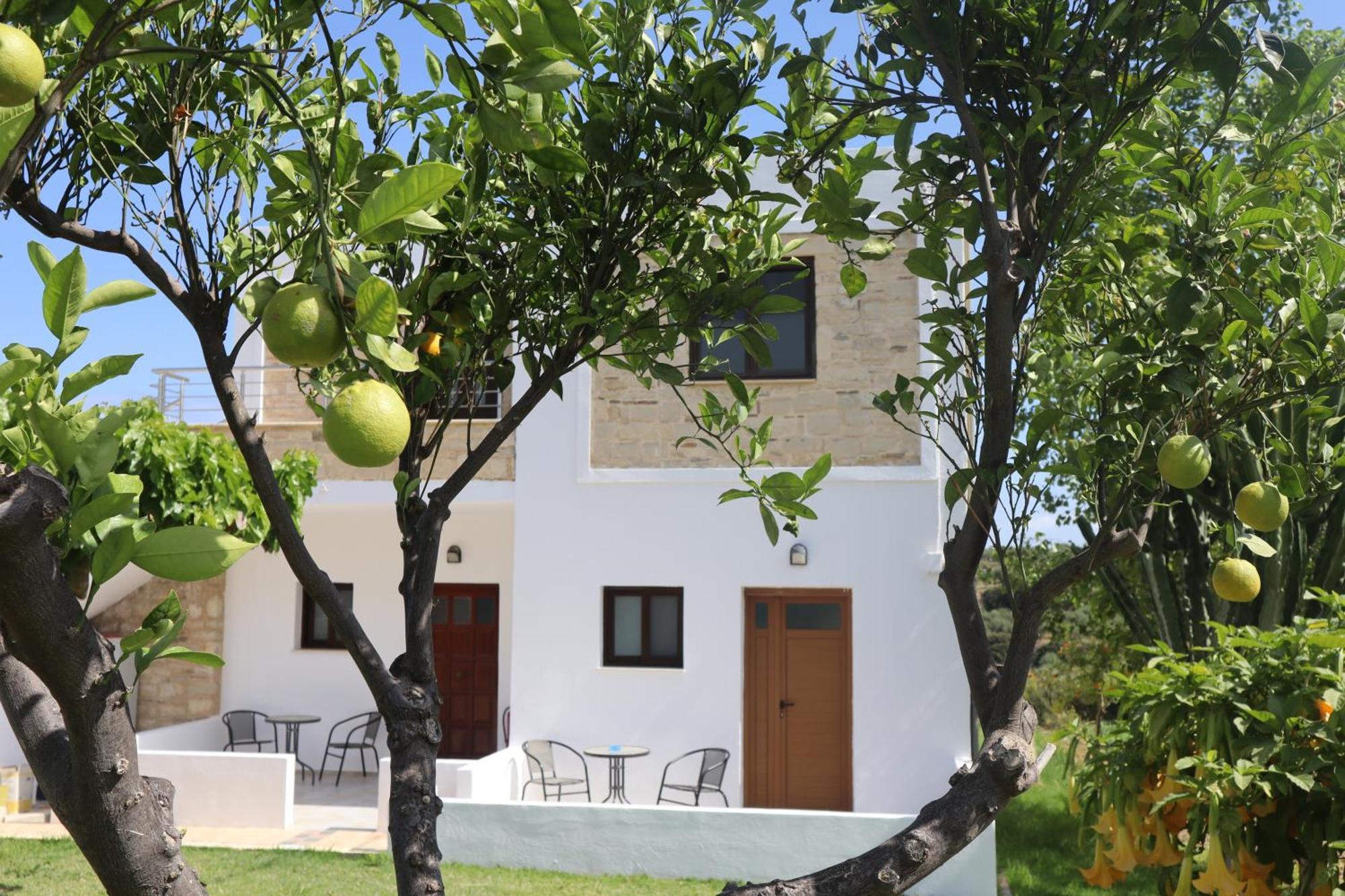 Villa Stefania Dream Erfoi Exterior foto